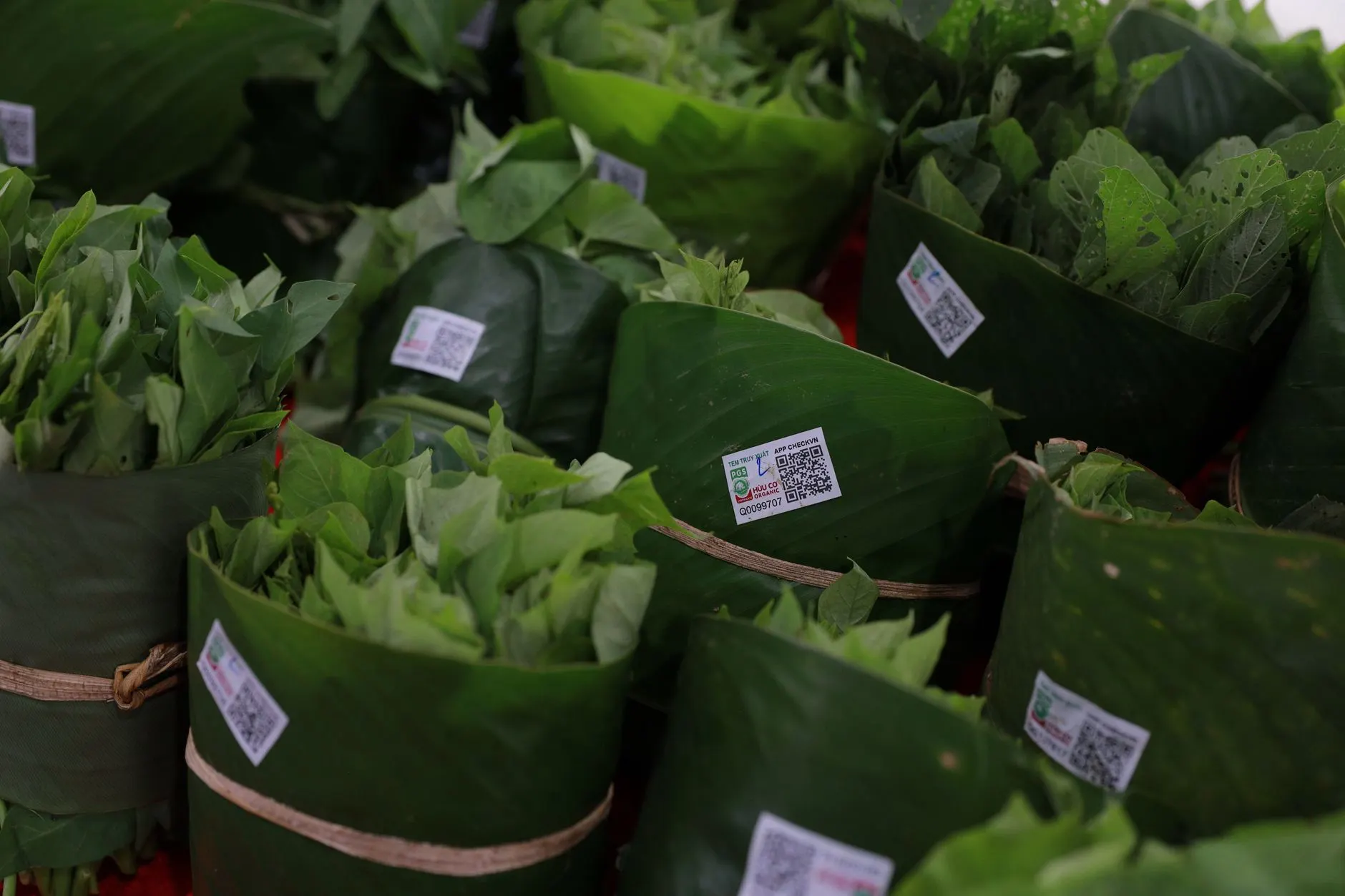 东莞中小企业管理规范化升级：追梦人咨询策划服务路径解析