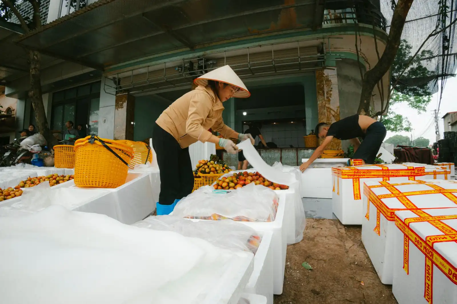 东莞中小企业管理规范化路径：咨询策划关键步骤解析