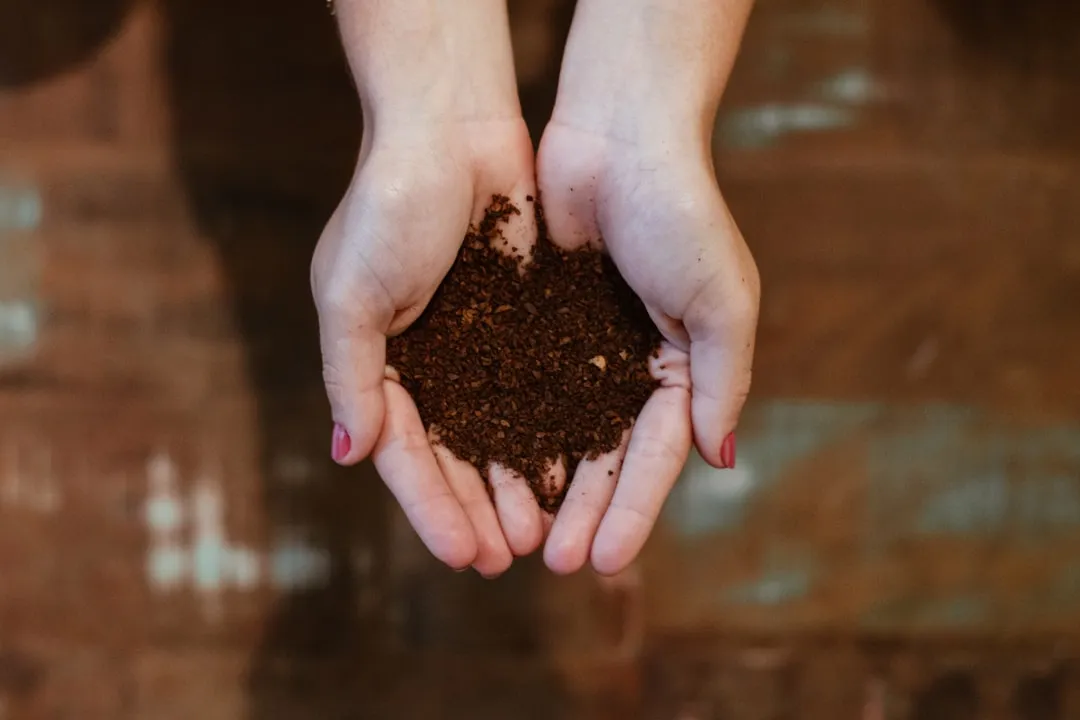 东莞中小企业企业管理规范化路径解析：咨询策划服务的实践价值