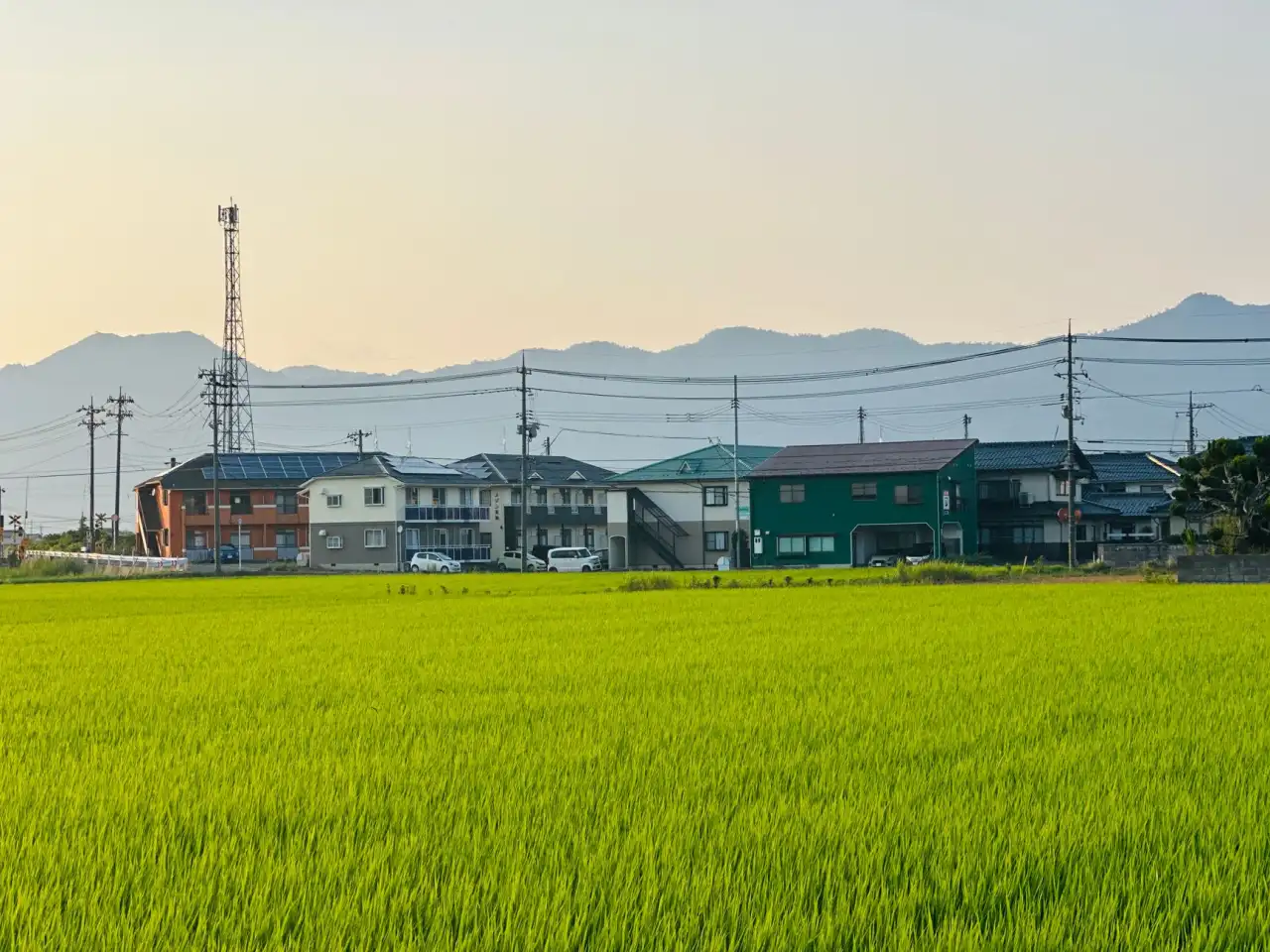 2024年珠三角中小企业管理规范化转型的三大关键路径