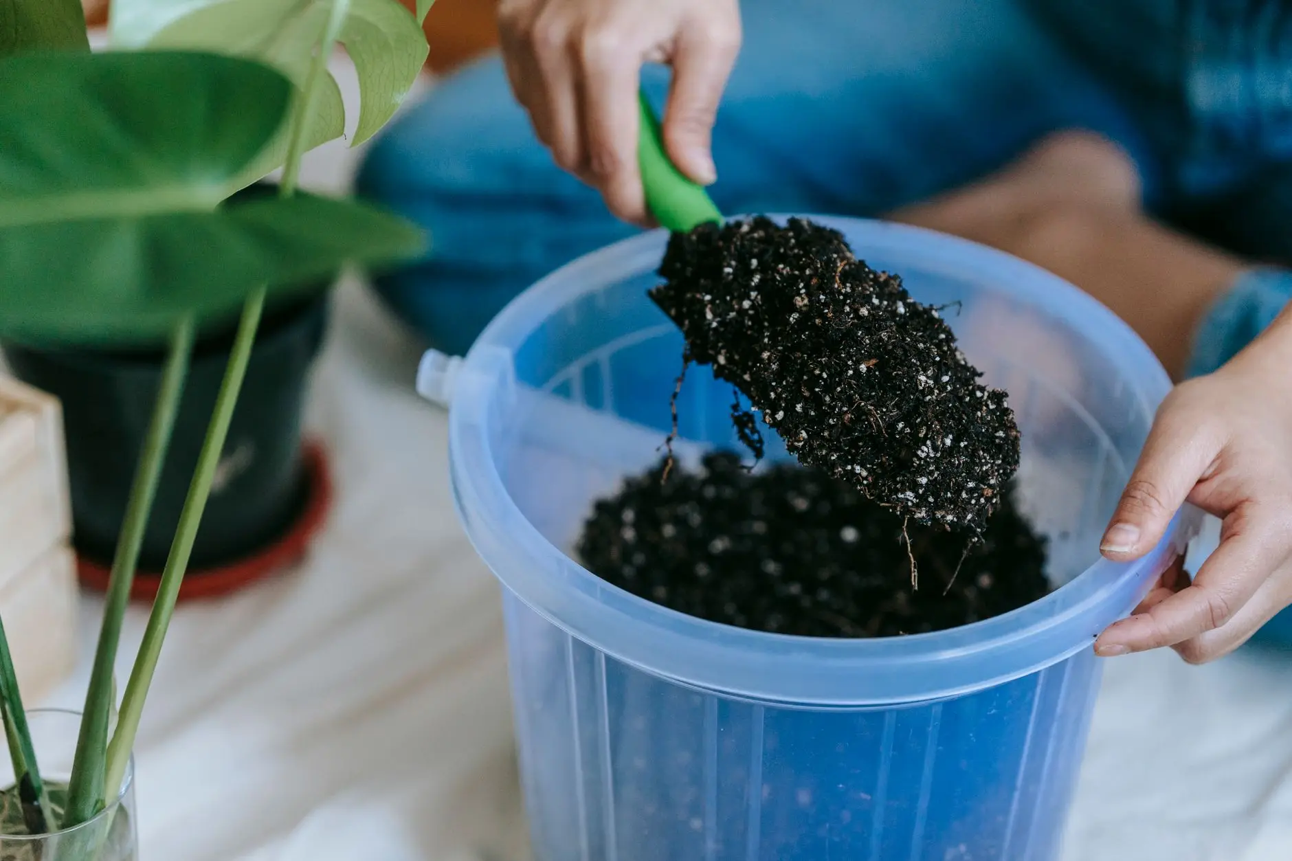 东莞企业管理咨询行业观察：中小企业管理规范化建设的关键路径分析