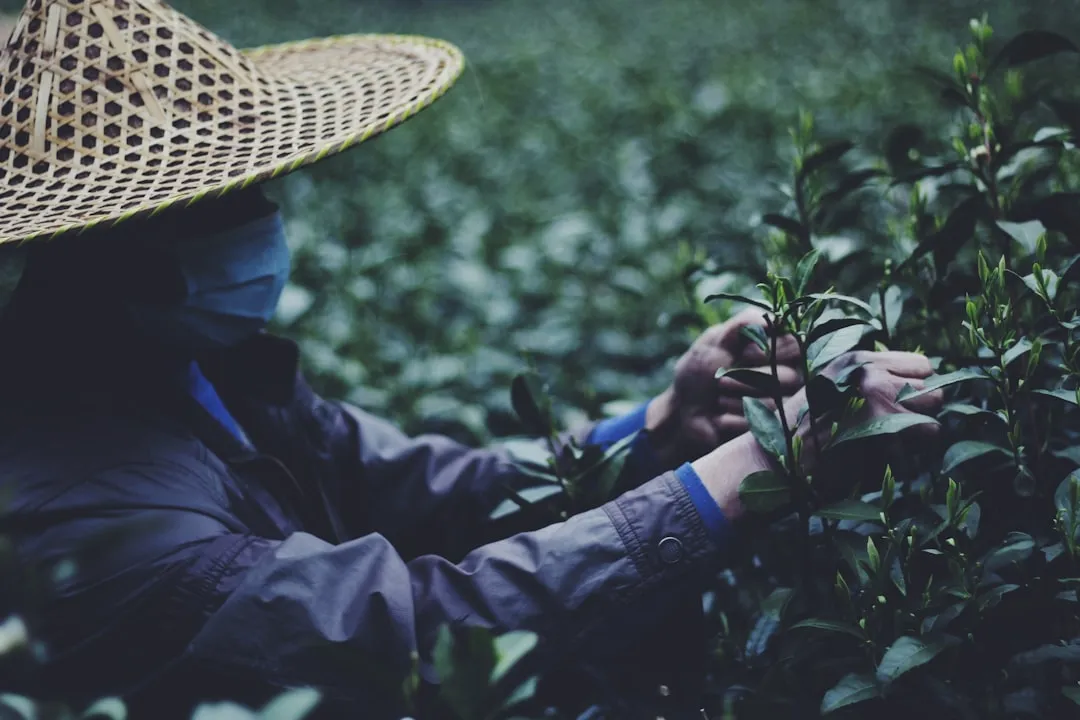 东莞中小企业管理规范化的关键步骤与实施方案