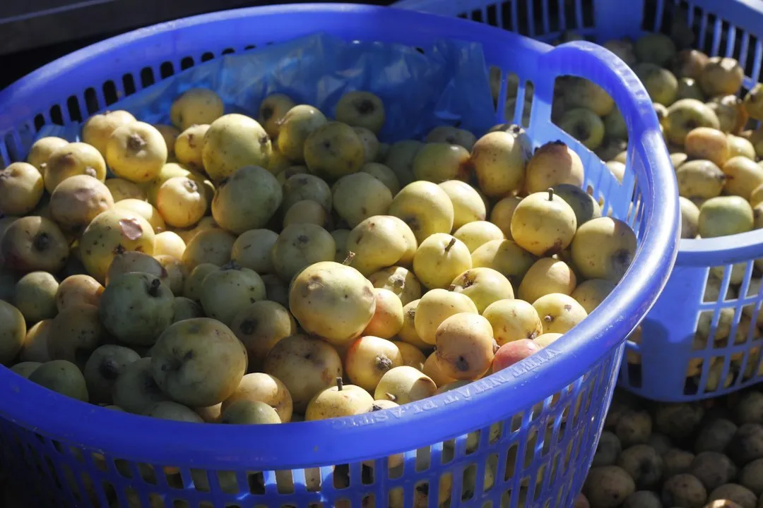 东莞中小企业管理规范化实施方案与落地要点解析